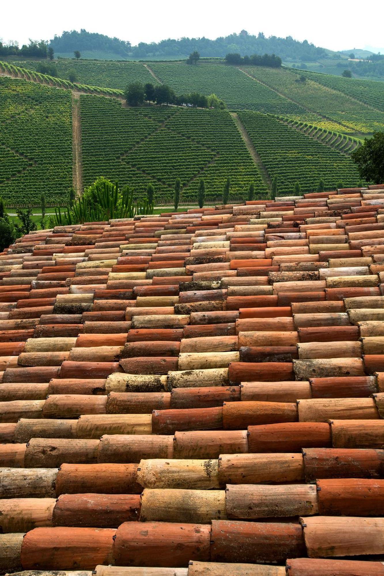 Relais Di Tenuta Santa Caterina B&B Grazzano Badoglio Phòng bức ảnh