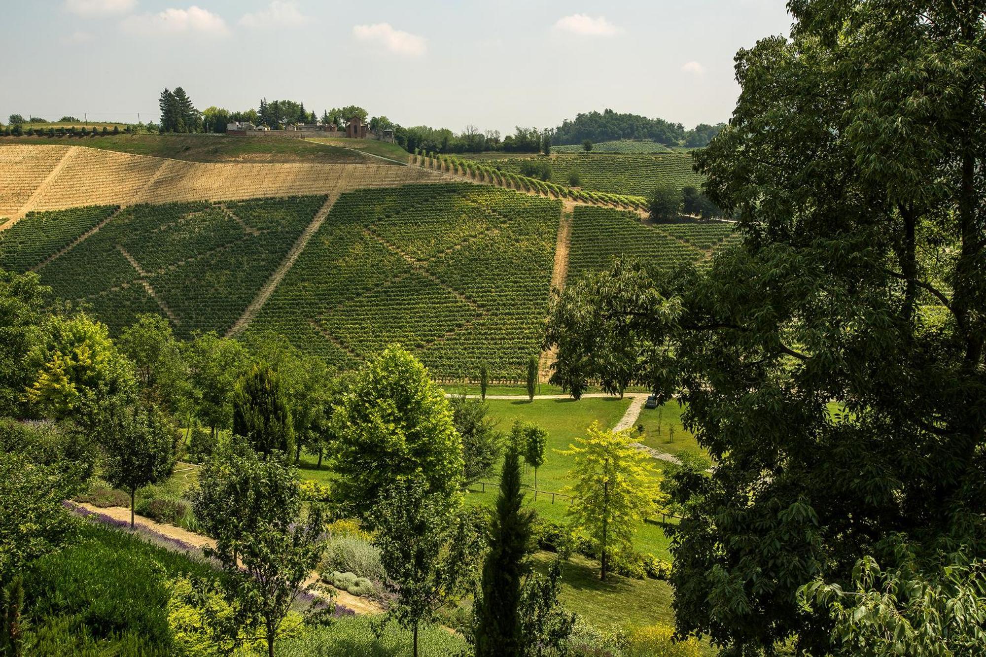 Relais Di Tenuta Santa Caterina B&B Grazzano Badoglio Phòng bức ảnh